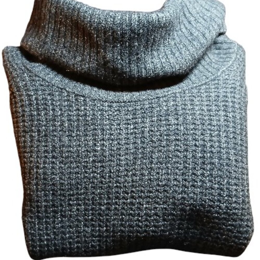 TOAD & CO Gray/Blue Tunic Wool Turtleneck Sweater EUC - Picture 4 of 11